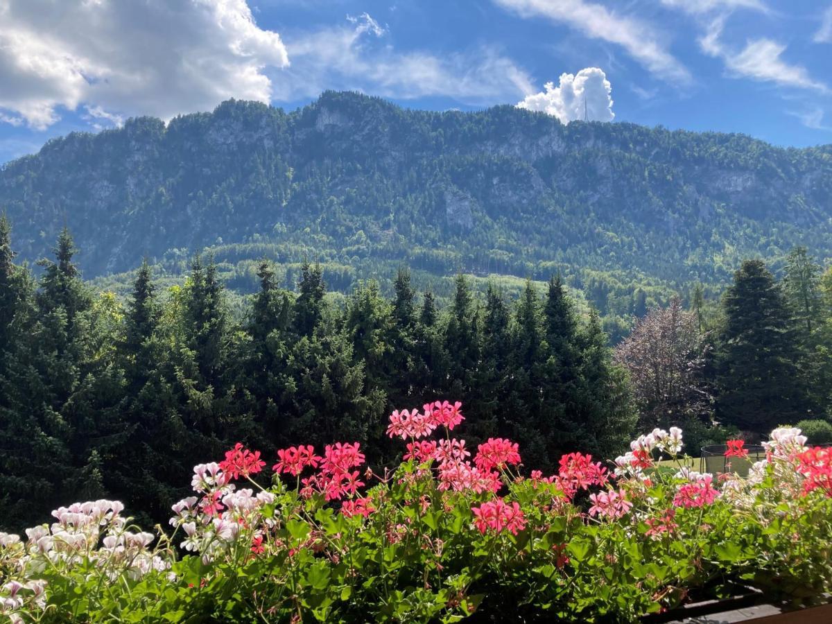 Ferienwohnung Mit Seeblick, Unterach Am Attersse Unterach am Attersee Exterior foto